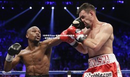 V体育官方app-谢菲联主场击败利物浦，创造奇迹一战，谢菲联足球俱乐部