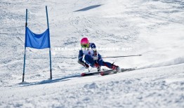 V体育官方app-格林感谢热火球迷对他的支持，格林打球