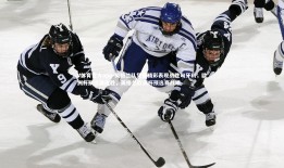 V体育官方app-英格兰队凭借精彩表现战胜匈牙利，欧洲杯预选赛连胜，英格兰欧洲杯预选赛战绩