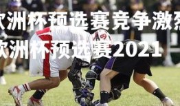 V体育官方app-欧洲杯预选赛竞争激烈，各队精彩对决让人目不暇接，欧洲杯预选赛2021