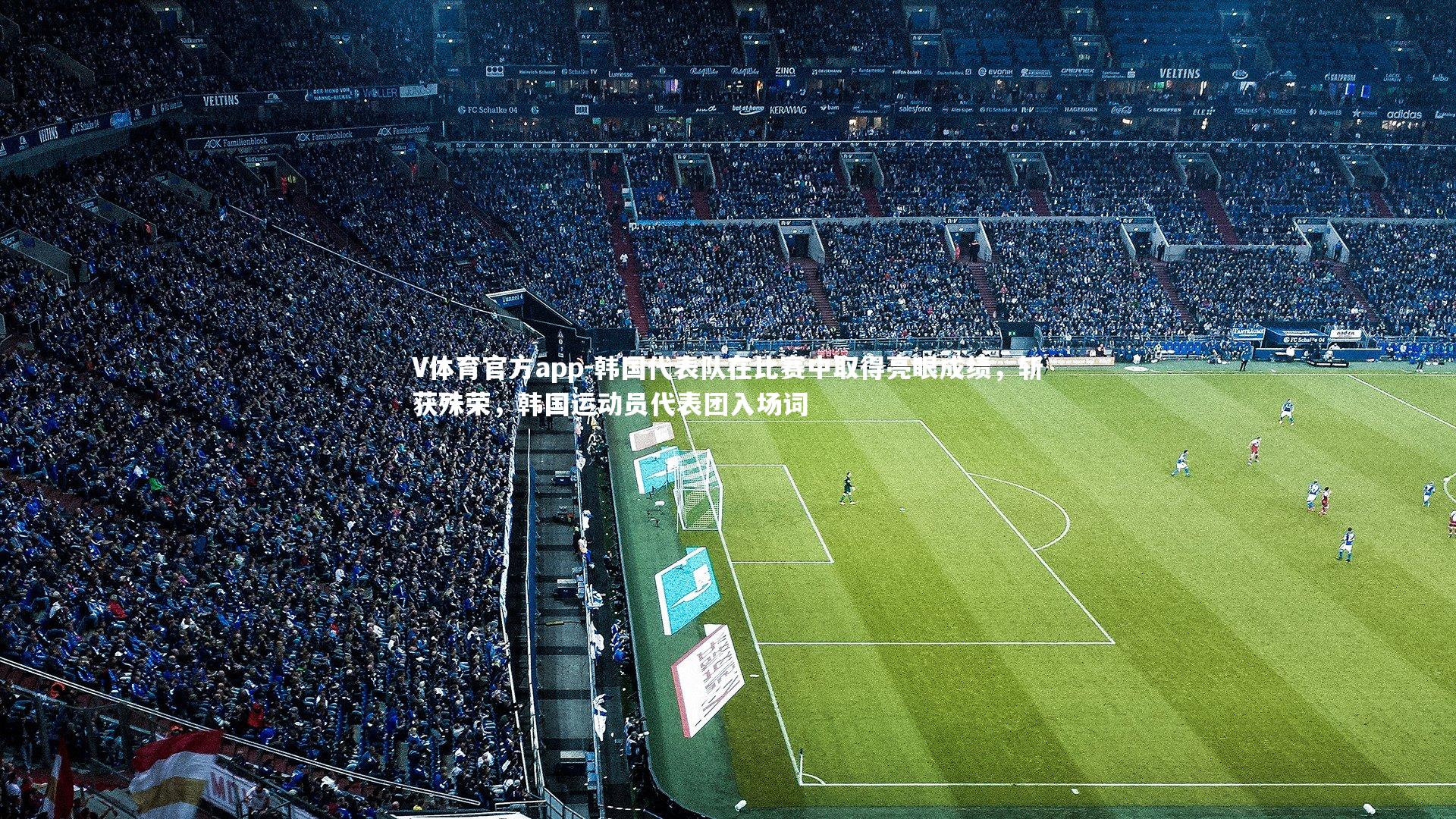韩国代表队在比赛中取得亮眼成绩，斩获殊荣，韩国运动员代表团入场词